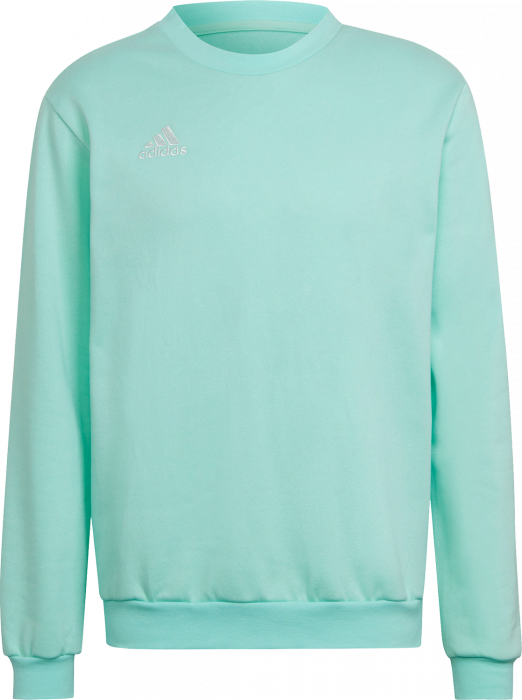 Adidas Entrada 22 sweatshirt Clear mint & blanco (HC5047) › 6 Colores › Hoodies & sweatshirts - Prendas y accesorios de VSH