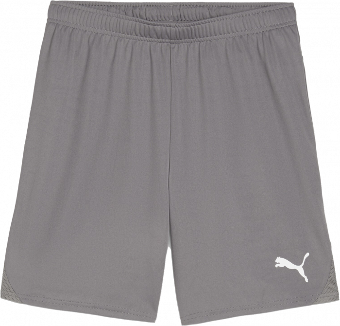 Puma - Teamgoal Shorts - Cast Iron & wit